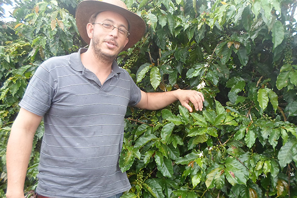  | Microlotes Premiados do Brasil | Reserva da Família | Café Santa Clara