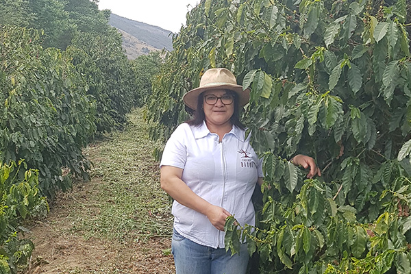  | Microlotes Premiados do Brasil | Reserva da Família | Café Santa Clara